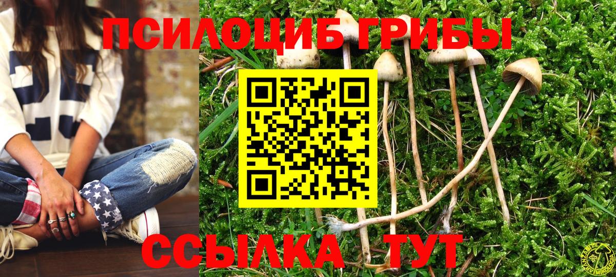 Родники  наркота  Вход с VPN  Псилоцибиновые грибы Cubensis 