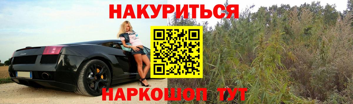 МАРИХУАНА OG Kush Родники